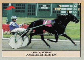 1996 Hippodrome de Montreal #34 Canaco Motion - Coupe des Éleveurs 1995 Front